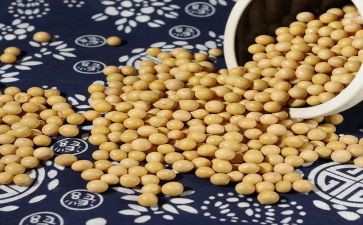 炒黄豆小班教案5篇