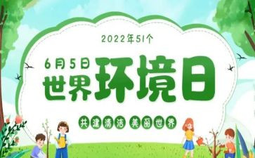 6.5环境日工作总结7篇