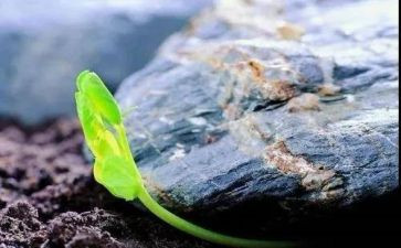 唤醒护理的读书心得体会8篇