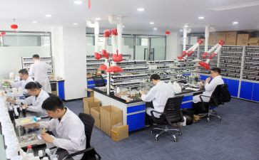 2024年化验室工作总结及计划6篇