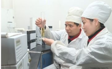煤化验工作总结精选6篇