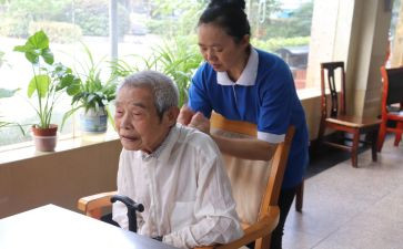 2024年养护工作总结范文5篇