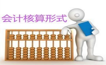 会计个人总结范文8篇