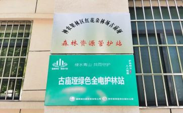 护林站工作计划5篇
