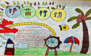 护苗行动的心得体会7篇