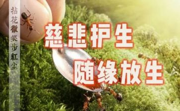 保护生态文明作文5篇