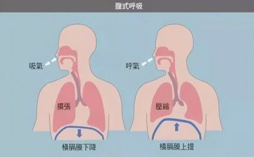呼吸内科实习的自我鉴定8篇