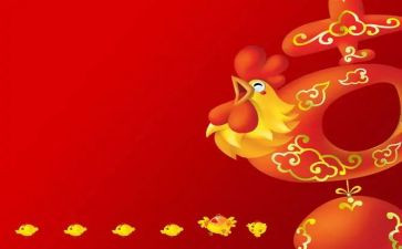 煎鸡蛋教案8篇