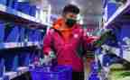 2024年拣货员工作总结参考6篇