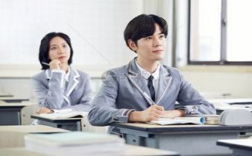 教师专题工作总结8篇