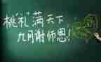 教师个人2024年度总结范文推荐5篇