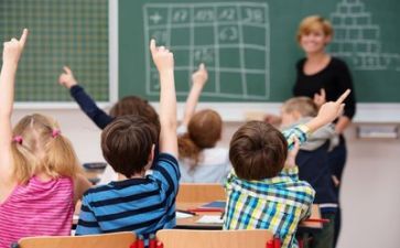 他一一了教学反思5篇