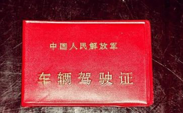 考驾照要心得体会8篇