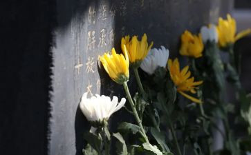 清明节祭奠先烈活动方案6篇