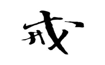 2024教育惩戒心得体会优质6篇