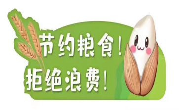 节粮活动总结通用8篇