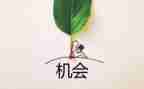 机会是抢来的作文最新6篇