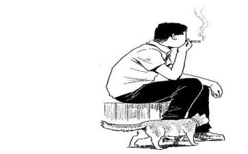 寂寞的作文800字5篇