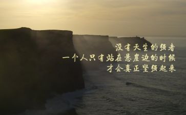 全会精神的心得体会6篇