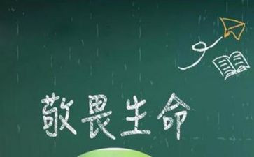 敬畏心的作文优质7篇
