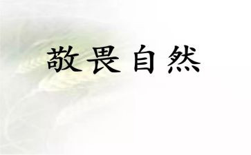 守底线知敬畏存戒惧心得体会7篇