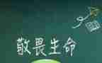 敬畏心的作文优质7篇
