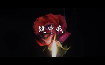 镜中的我作文600字优质6篇