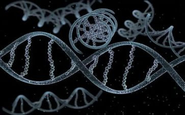 传承红色基因主题作文7篇