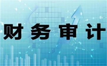 财务预决算工作总结6篇