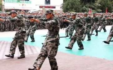 军训的心得体会作文600字5篇