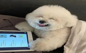 我开心了作文400字作文最新6篇