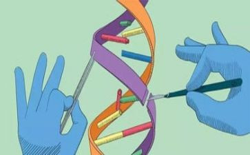 2024年幼儿园中班科学教案模板5篇