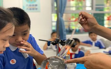 小学科学课教学总结参考6篇