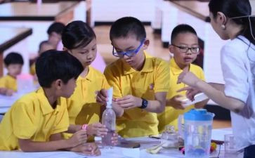 小学科学课教学总结5篇