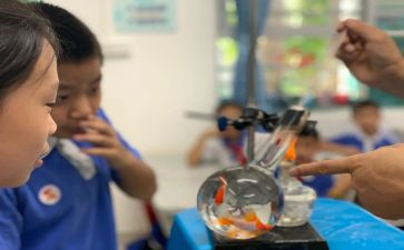 小学科学课工作总结参考6篇