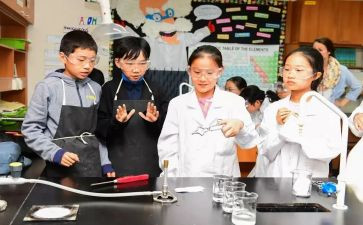 小学科学课教师工作总结5篇