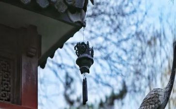 苦与乐演讲稿200字推荐7篇