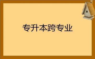 跨专业工作总结最新7篇