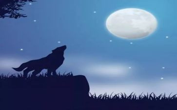 读后感狼王梦的读后感模板7篇