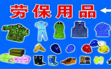 劳保所工作总结7篇