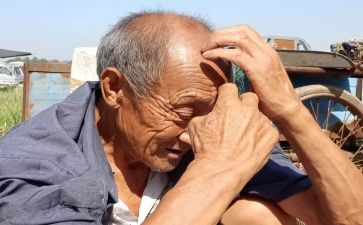老人重阳节活动方案策划7篇