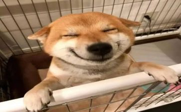 遇伯乐的演讲稿8篇