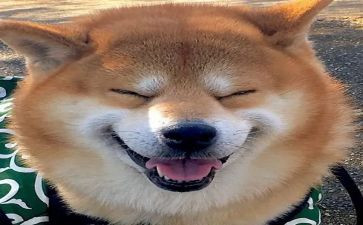 音乐培训心得最新5篇