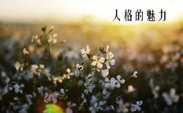 诗词魅力作文5篇