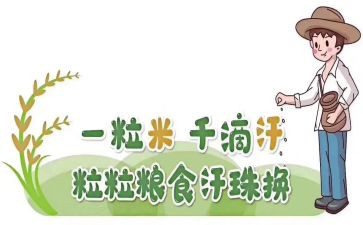 粮食节约活动总结范文6篇