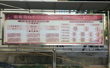 村支两委工作总结7篇