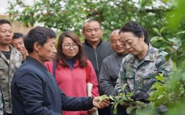 李保国事迹5篇
