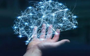 科学领域教研活动方案8篇