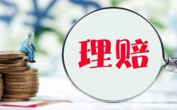 保险理赔员心得体会8篇