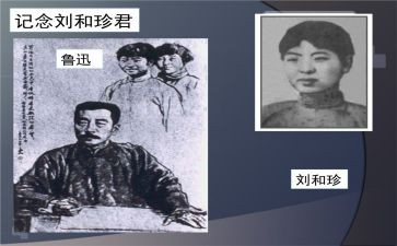 刘和珍演讲稿作文精选8篇